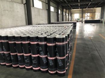 SBS防水卷材